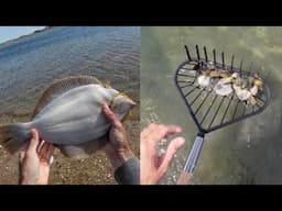 Flounder Limit and Raking Clams for a Seafood Feast! April 2025 Catch and Cook
