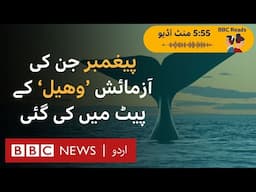 The story of Prophet Yunus, who survived after being swallowed by a whale - BBC URDU