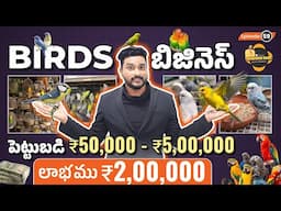 Start Bird Business from Home Telugu in 2025 | Low Investment High Profits | Rajeev Pasupuleti