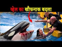 जब व्हेल्स ने इंसानों से लिया बदला | Orca Whale Attacks Explained