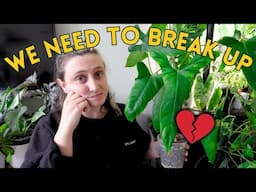 Brutal Plant Declutter – Downsizing My Collection Again
