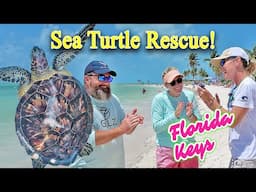 Sea Turtle Saved and Set Free! Florida Keys Rescue Story
