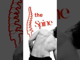 Your Spine Is Not Fragile (learn how)