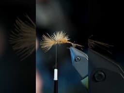 March Brown Hackle-Stacker Emerger: Fly Tying Tutorial #flyfishing #flytying #trout #troutfishing