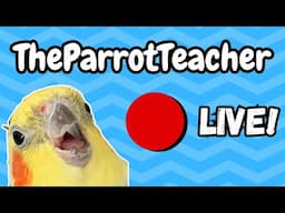 The Parrot Teacher Livestream and Q&A | Bird Diet , Hormones & Cole Update