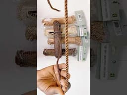 Grab Dollar Tree ropes for this BRILLIANT DIY! #dollartreediy #wallhangingcraftideas #shorts