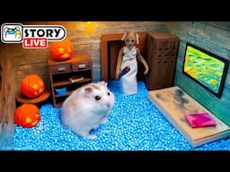 The World's Largest Hamster Maze 🐹 The Best Hamster Challenges 🐹 Homura Ham Pets