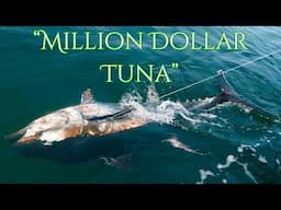 1,000 POUND TUNA FISHING | GIANT Atlantic Bluefin | Prince Edward Island, Canada