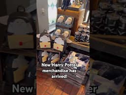 New Harry Potter merchandise has arrived at Universal Orlando! #harrypotter #universalstudios