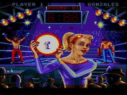 [TAS] SNES Best of the Best: Championship Karate "100%" by eien86 in 15:54.26