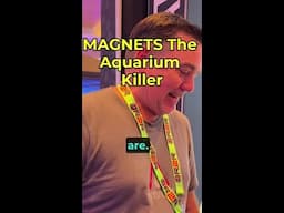 Are Magnets Killing Your Saltwater Aquarium?