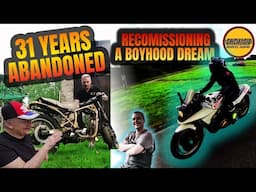Will a 31-Year Barn Find Katana come Back to Life?