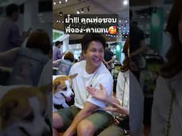 พ่อผมชอบ...พี่จอง-คาแลน #animals #pets #automobile