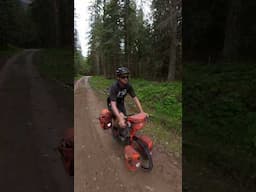 🚴‍♂️ Day 7: Into the National Forest & Finding the Perfect Campsite