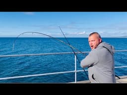 Monster KILLER Jellyfish 🪼 + ATTACK of the BLENNY⚠️ UK Sea Fishing 🎣