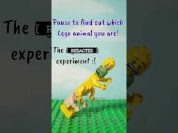 Comment what animal you are 😗⬇️ #lego #pause #sendthistosomeone