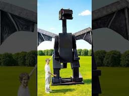Minecraft Ender Dragon in Real Life