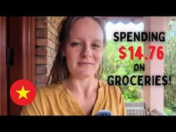 Our first time in a Vietnam grocery store! 🛒 Cost of Groceries in Vietnam 2025 🇻🇳