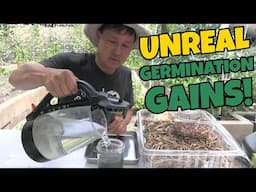 Only a Few Know These Seed Germination Hacks (Now You Do! Too)