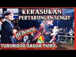 💥Heboh PERTARUNGAN SENGIT ✓TURONGGO GAGAK PURO BALIDONO