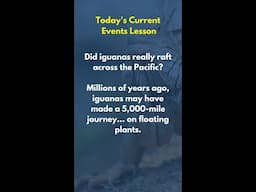Current Events 5/23