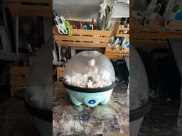 Van Life Rainy Day Movie and Popcorn with Dash Popcorn Maker #vanlife cooking #movies #dashappliance