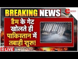 India Big Action On Pakistan LIVE : डैम के गेट खोलते ही पाकिस्तान में तबाही शुरू!| Chenab River