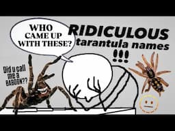 Tarantula names ARE A JOKE!!! (Watch till the end!) ~ Lets RENAME them!