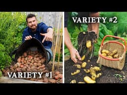 Never Buy Potatoes Again! How to Be Self-Sufficient in Potatoes