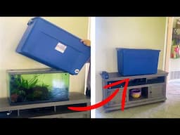 how to hide your fish tank from house inspection | Fish Tank Review 302