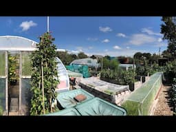 Low-Water Gardening: Big Harvests, Less Work