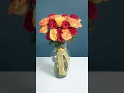 Teoría del Color con el Sr OASIS #flores #florista #floreria #diseñofloral