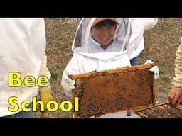 Fun At Beginner Beekeeping School