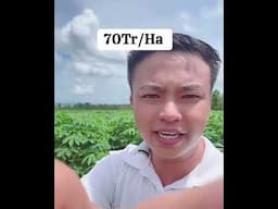 Anh chị quan tâm alo em 0819444555
