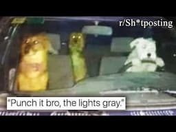 TOP OF R/SH*TPOSTING