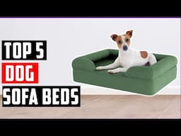Best Dog Sofa Beds of 2025: Affordable and Comfy Dog Sofa Beds You Need to See