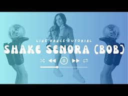 Learn "Shake Senora (B.O.B.)" in 6 Minutes [Pitbull, T-Pain, Sean Paul] Line Dance Tutorial