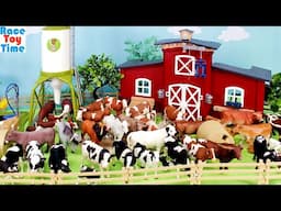 Lots of Farm Animal Figurines Cattle Collection