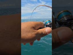 suara berisik reel bikin tetangga panas #fishing #mancing #ultralightjigging #uqi2017