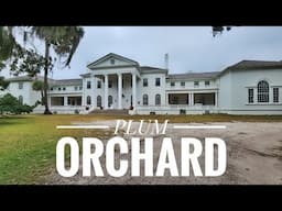 #PlumOrchard #CumberlandIsland