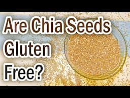 Are Chia Seeds Gluten Free? Does Chia Seeds Contain Gluten? Is Chia Seed Gluten Free? Gluten Content
