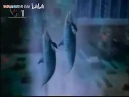 1995 Intel Pentium Commercial China #2