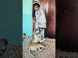 babu new cute video 😍🐒 #funny #monkeychallenge #monkeyclip #cute