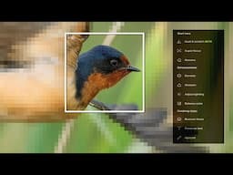 What's NEW in Topaz Photo AI 4
