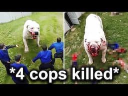 When Police Officers Mess With The Wrong Opponent