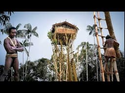 The Amazing Korowai Tribe Build Highest Treehouse on Earth in Dense Jungle.