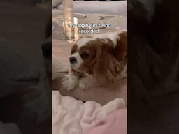 She hates a camera on her face