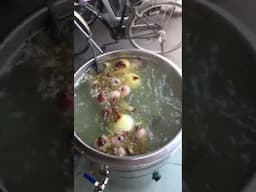 Làm phở sạch, không khói, không than , bạn cần nồi điện chuẩn