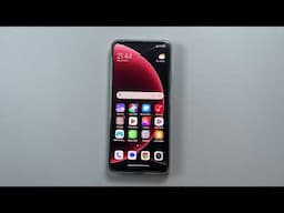 Xiaomi 15 Ultra Tiene InfraRojo ?
