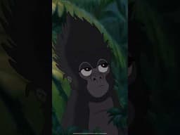 Kala adota Tarzan 🥹